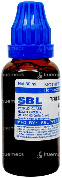 Sbl Teucrium Marum Verum Q Mother Tincture 30Ml